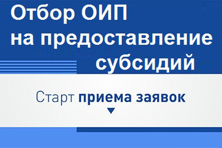 Субсидии для организаций инфраструктуры поддержки бизнеса