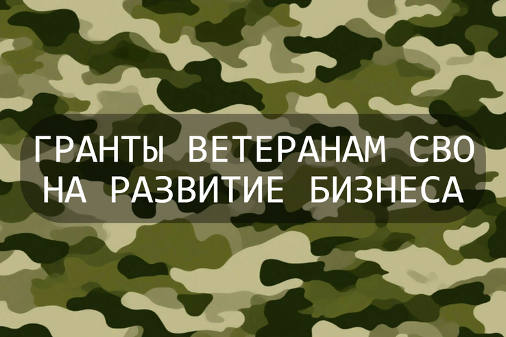 Гранты ветеранам СВО на развитие бизнеса