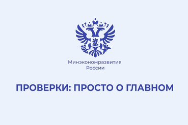 Правительство России отменило плановые проверки до 2030 года