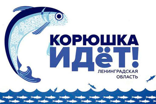 Прием заявок на участие в фестивале «Корюшка идет!»