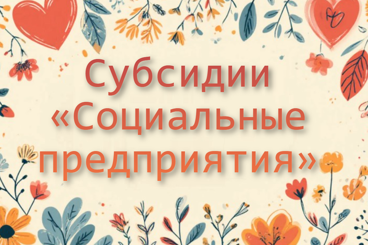 Субсидии  «Социальные  предприятия»