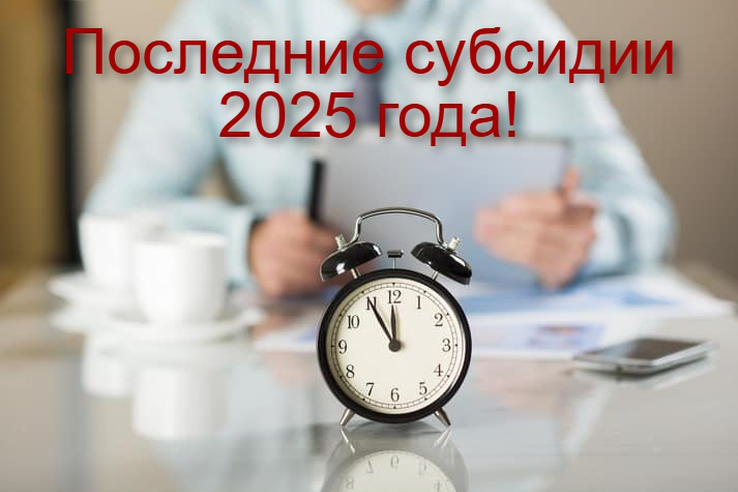 Последние субсидии года: успейте!