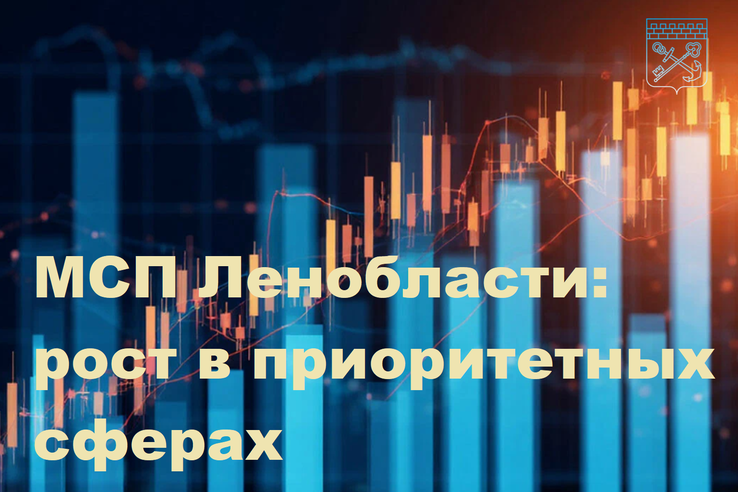 МСП Ленобласти:  рост в приоритетных сферах