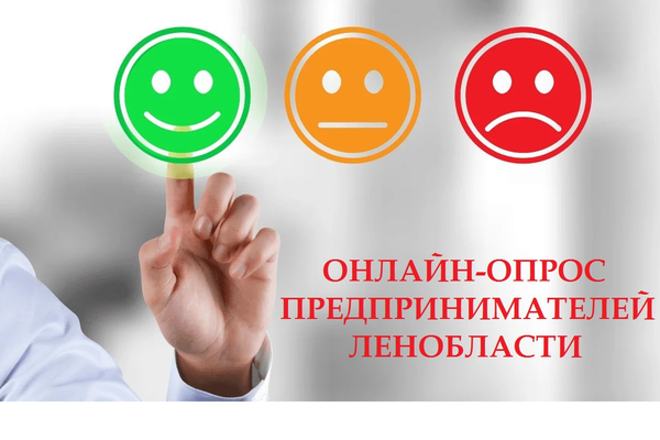 Опрос социальных предпринимателей Ленобласти