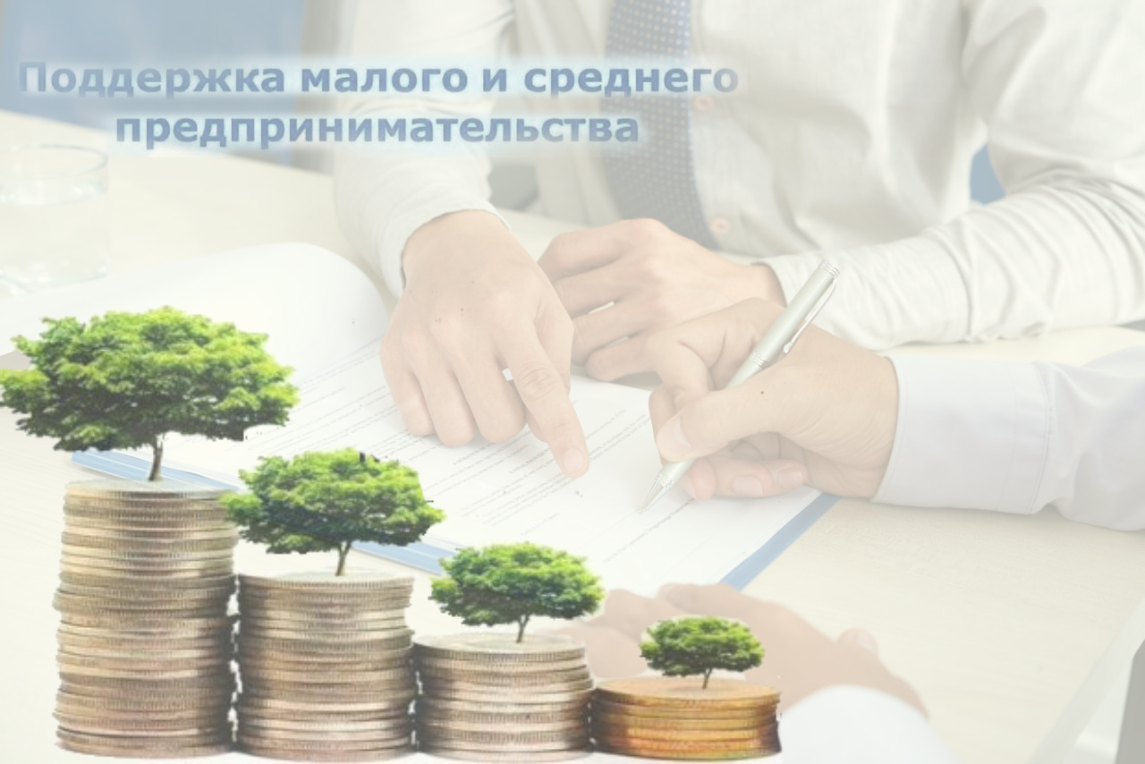 Кредиты субсидии малому предпринимательству
